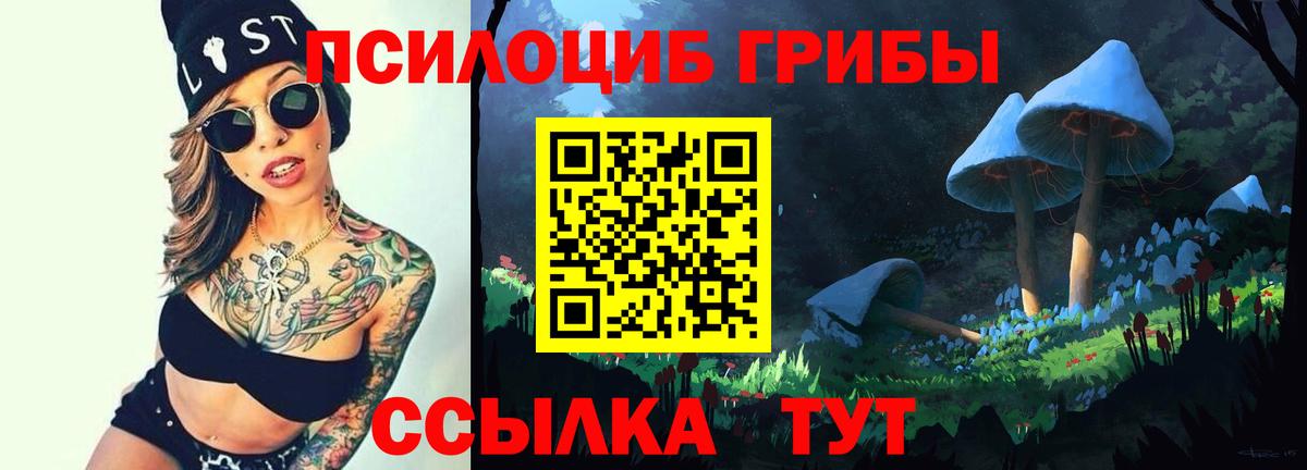 Ивантеевка  Галлюциногенные грибы Psilocybine cubensis  Вход с VPN 